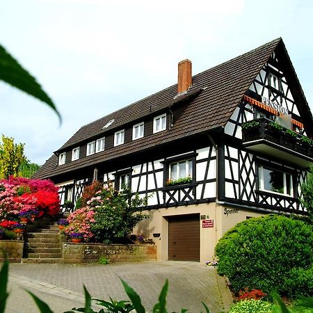 Pension Am Weinberg ザスバッハヴァルデン エクステリア 写真